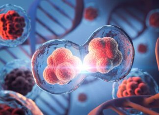Rare disease kills 36 patients in 26-year Moroccan study A rare immune disease killed 36 of 54 patients studied in Morocco over 26 years, with only eight receiving a stem-cell transplant.