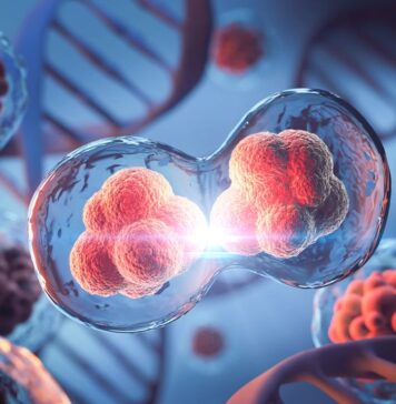 Rare disease kills 36 patients in 26-year Moroccan study A rare immune disease killed 36 of 54 patients studied in Morocco over 26 years, with only eight receiving a stem-cell transplant.