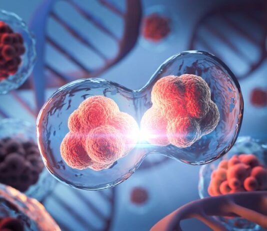 Rare disease kills 36 patients in 26-year Moroccan study A rare immune disease killed 36 of 54 patients studied in Morocco over 26 years, with only eight receiving a stem-cell transplant.