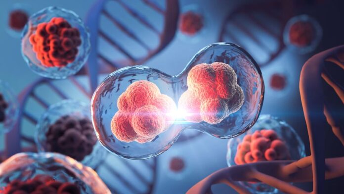 A rare immune disease killed 36 of 54 patients studied in Morocco over 26 years, with only eight receiving a stem-cell transplant. A rare immune disease killed 36 of 54 patients studied in Morocco over 26 years, with only eight receiving a stem-cell transplant.