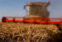 Good harvest lifts Morocco’s economy, but pressure is building Morocco economic growth 2026
