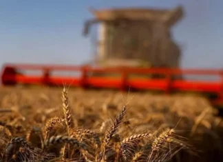 Good harvest lifts Morocco’s economy, but pressure is building Morocco economic growth 2026