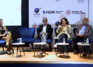Can Morocco build its own “Hidden Champions”? Moroccan companies global niche markets