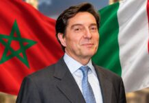 Italy fears new EU car rules could help Morocco and Turkey Italy pushes back as Morocco gains ground in European cars