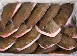 Russia Blocks Moroccan Fish Exporter After Arsenic Found Again Moroccan fish exporter arsenic
