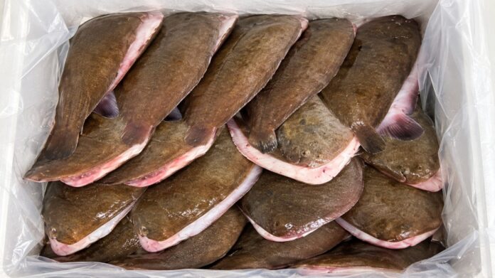 Moroccan fish exporter arsenic Moroccan fish exporter arsenic