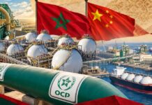 Morocco wants to stop importing ammonia. China wants to help. Morocco wants to stop importing ammonia. China wants to help.