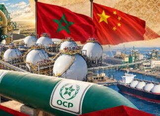 Morocco wants to stop importing ammonia. China wants to help. Morocco wants to stop importing ammonia. China wants to help.