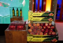 Les Domaines Zniber turns 70 and puts all its products under one brand Les Domaines Zniber 70th anniversary
