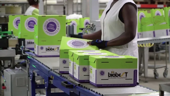 elgian agricultural group Biobest plans to buy the remaining 50% of Biobest Maroc, taking full control of the Moroccan business.