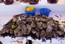 Don’t eat shellfish from Imi Ouaddar, authorities warn Shellfish harvesting and sales are banned in Imi Ouaddar near Agadir after tests found unsafe levels of marine toxins in mussels.