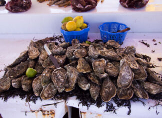 Don’t eat shellfish from Imi Ouaddar, authorities warn Shellfish harvesting and sales are banned in Imi Ouaddar near Agadir after tests found unsafe levels of marine toxins in mussels.