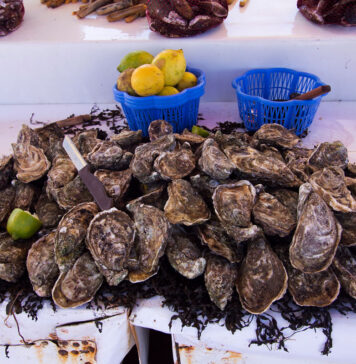 Don’t eat shellfish from Imi Ouaddar, authorities warn Shellfish harvesting and sales are banned in Imi Ouaddar near Agadir after tests found unsafe levels of marine toxins in mussels.