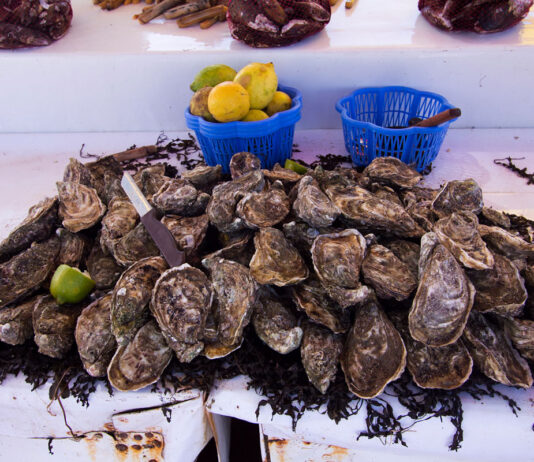 Don’t eat shellfish from Imi Ouaddar, authorities warn Shellfish harvesting and sales are banned in Imi Ouaddar near Agadir after tests found unsafe levels of marine toxins in mussels.