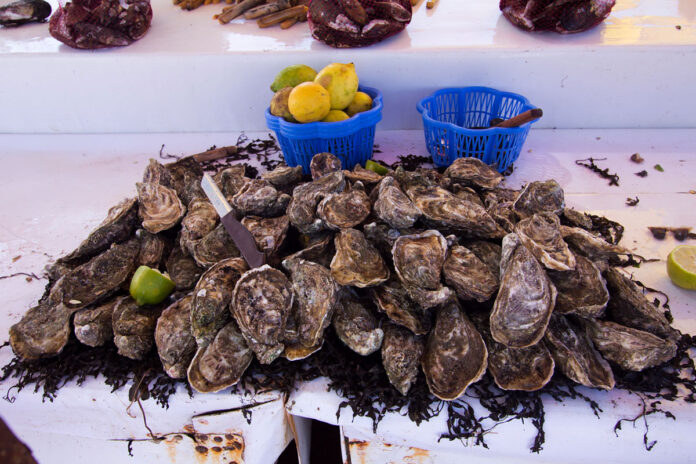 Shellfish harvesting and sales are banned in Imi Ouaddar near Agadir after tests found unsafe levels of marine toxins in mussels.