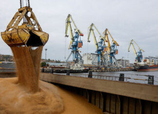 Russia sends more grain to Morocco despite sharp export drop Russia sent 58,000 tonnes of grain to Morocco in September, up 1.6 times, as overall Russian grain exports fell nearly fourfold.