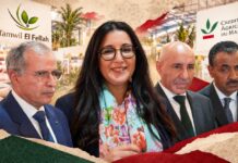 How Crédit Agricole is backing date farmers in Morocco? Crédit Agricole du Maroc helps date farmers access loans, adopt solar irrigation and prepare for a record harvest of 177,000 tonnes in 2026-2027.