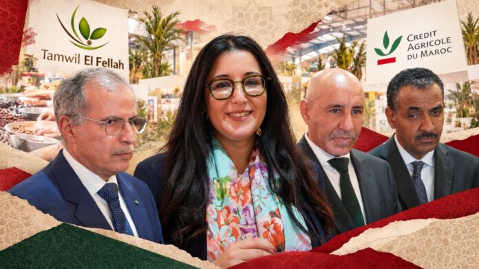 Crédit Agricole du Maroc helps date farmers access loans, adopt solar irrigation and prepare for a record harvest of 177,000 tonnes in 2026-2027.