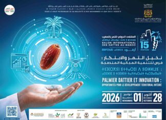 Erfoud prepares to host 100,000 visitors for international date festival Morocco’s SIDATTES 2026 exhibition in Erfoud will bring together 100,000 visitors to boost date production, attract investment and cut imports.